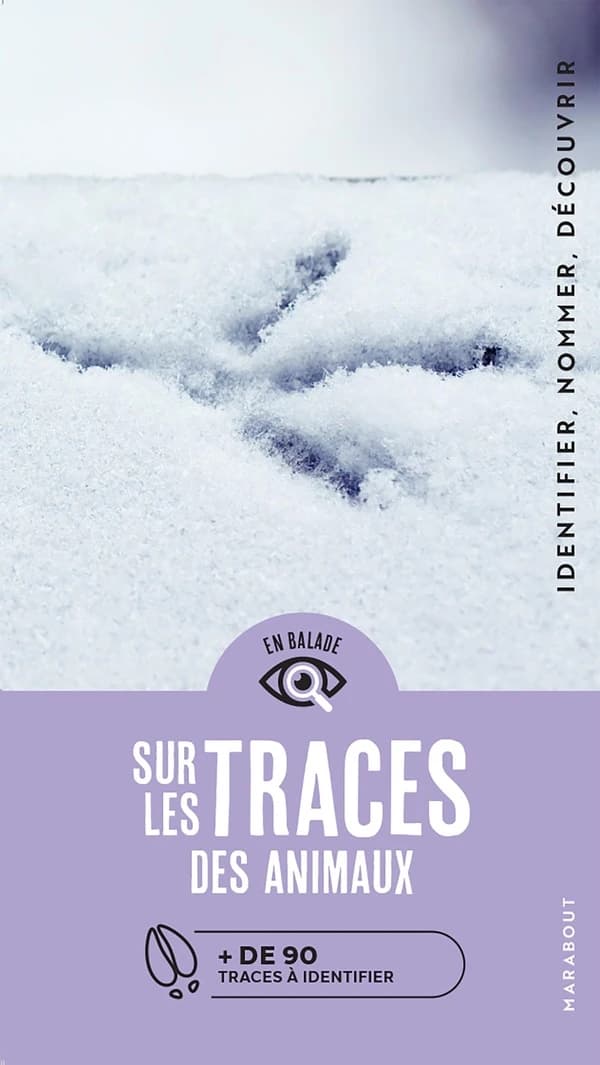 Sur les traces des animaux : + de 90 traces et empreintes à reconnaître