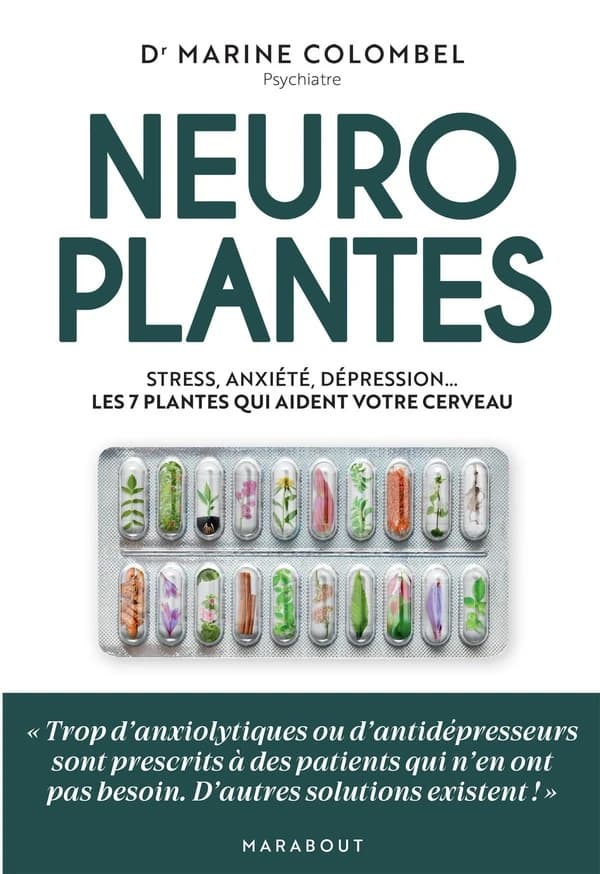 Neuroplantes : Stress, anxiété, dépression... Les 7 plantes qui aident votre cerveau