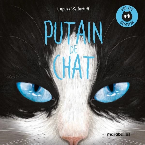 Putain de chat. Vie de chaton