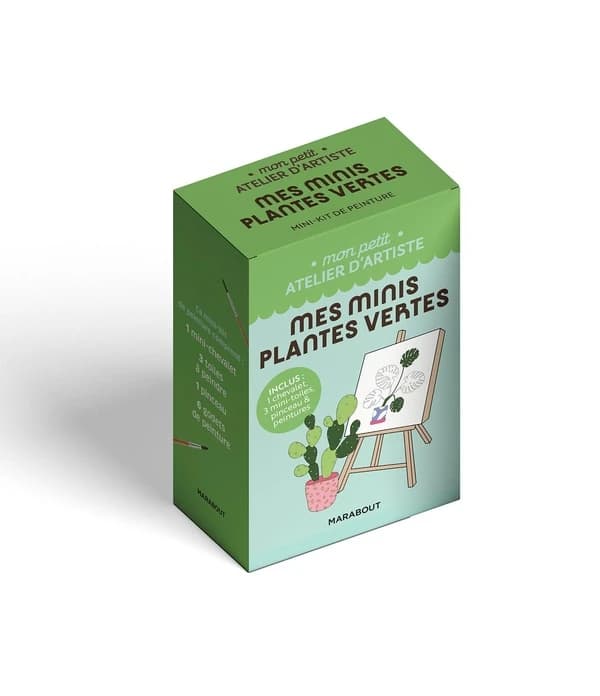 Mes minis plantes vertes