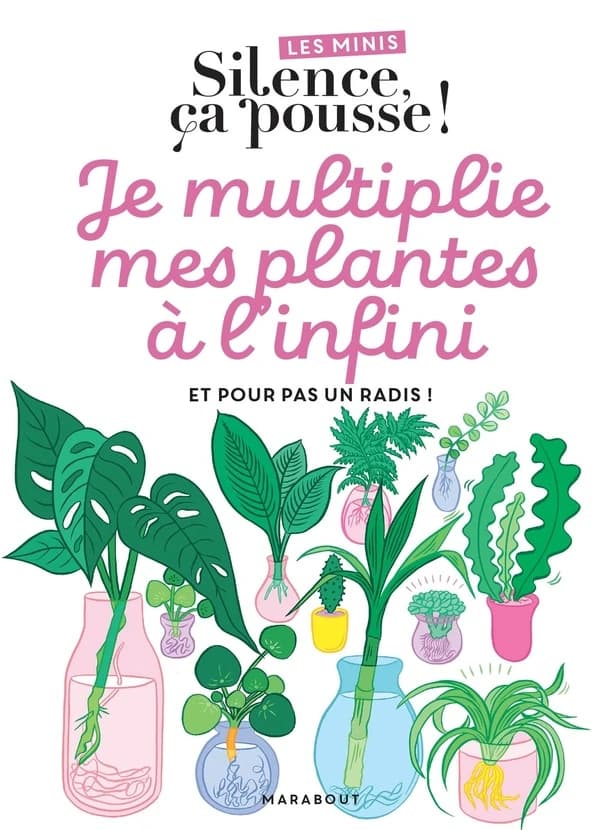 Je multiplie mes plantes à l'infini : et pour pas un radis !
