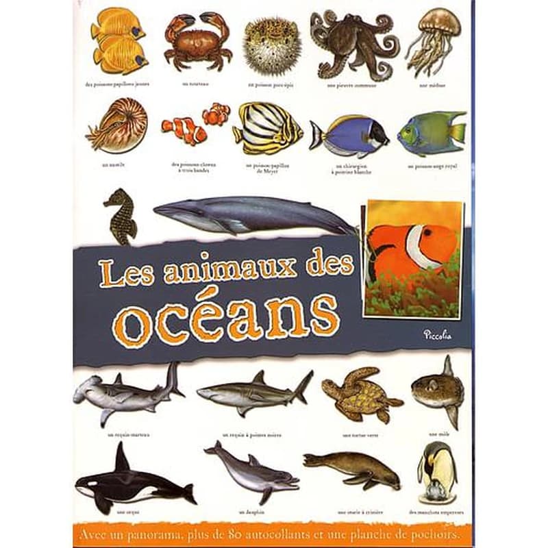 Les animaux des océans