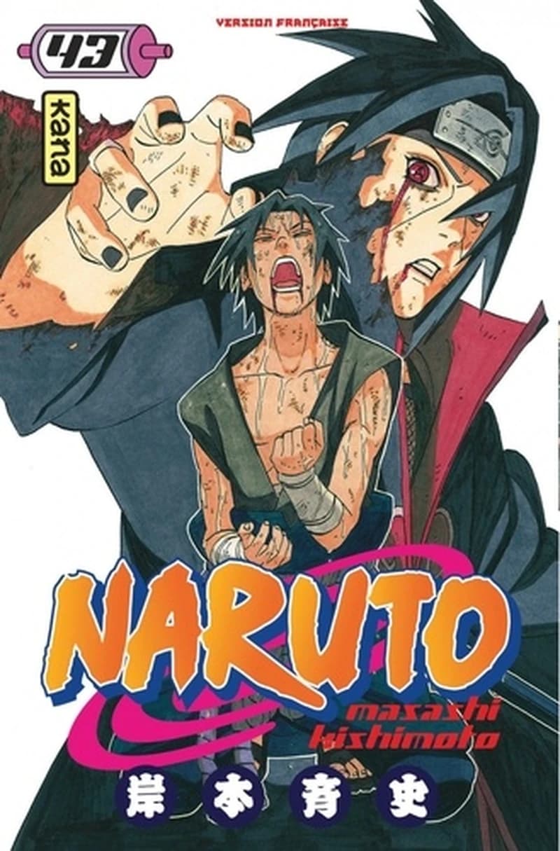 Naruto. 43