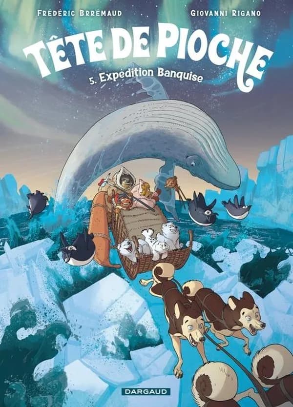 Expédition banquise