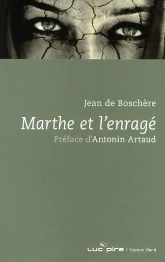 Marthe et l'enragé : roman