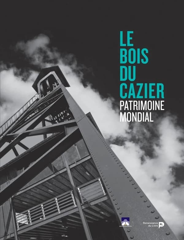 La catastrophe du bois du cazier