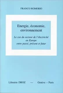 Energie, économie, environnement : le cas du secteur de l'électricité en Europe entre passé, présent et futur
