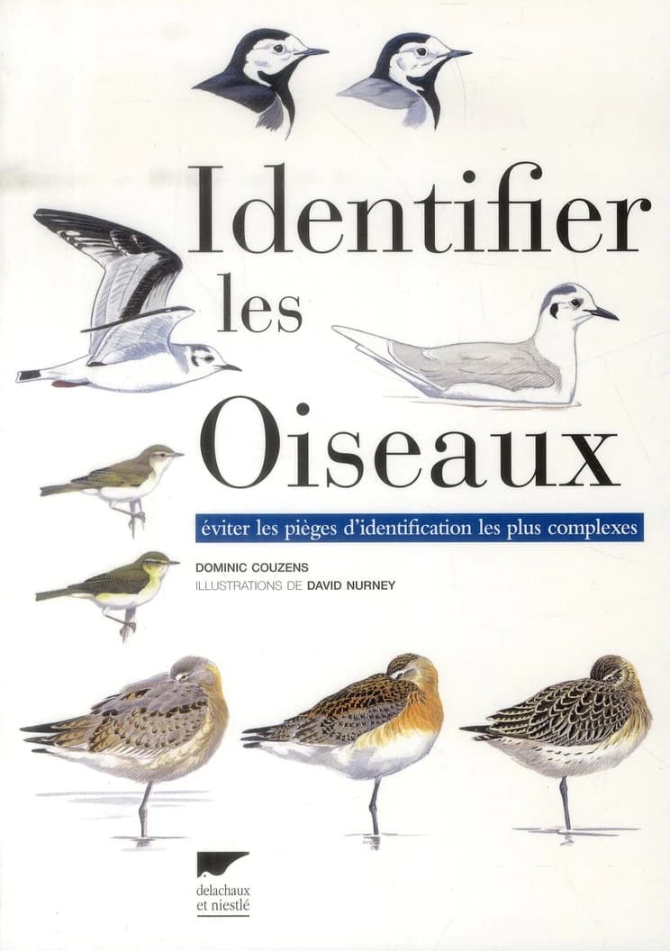 Identifier les oiseaux : éviter les pièges d'identification les plus complexes