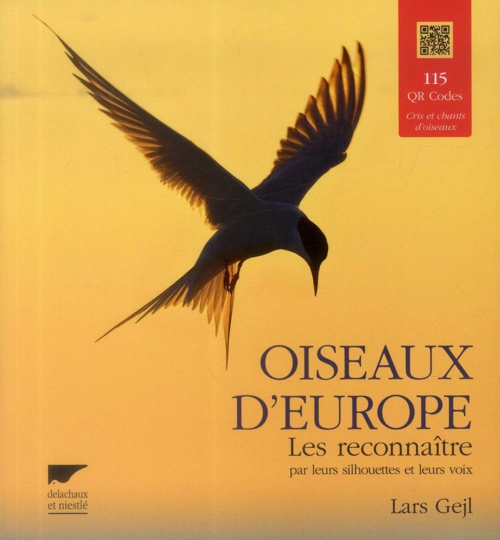 Oiseaux d'Europe : les reconnaître par leurs silhouettes et leurs voix