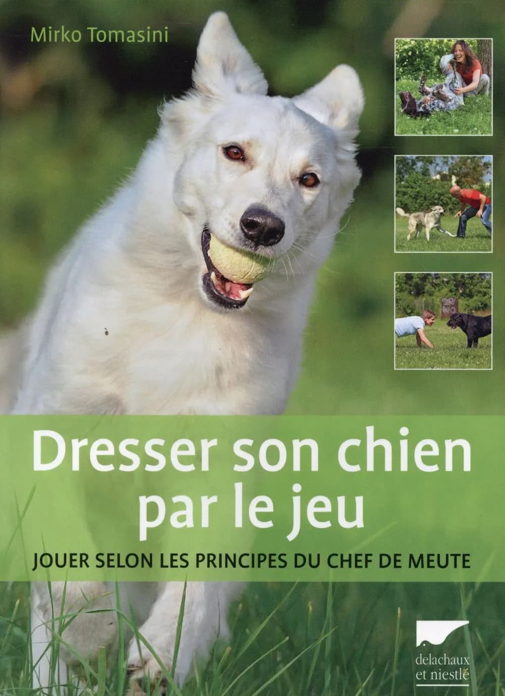 Dresser son chien par le jeu : jouer selon les principes du chef de meute
