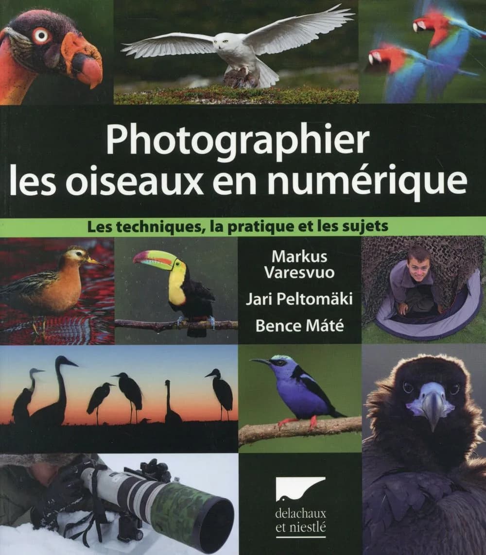 Photographier les oiseaux en numérique : les techniques, la pratique et les sujets