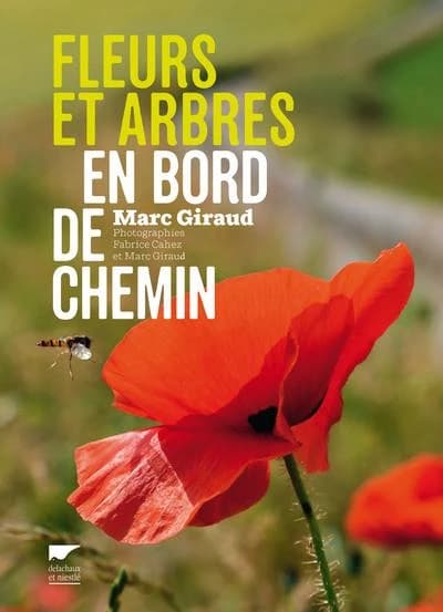 Fleurs et arbres en bord de chemin : les plantes nous voient, sachons les regarder