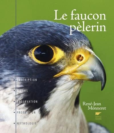 Le faucon pèlerin : description, moeurs, observation, protection, mythologie ([Nouvelle éd.]) René-Jean Monneret