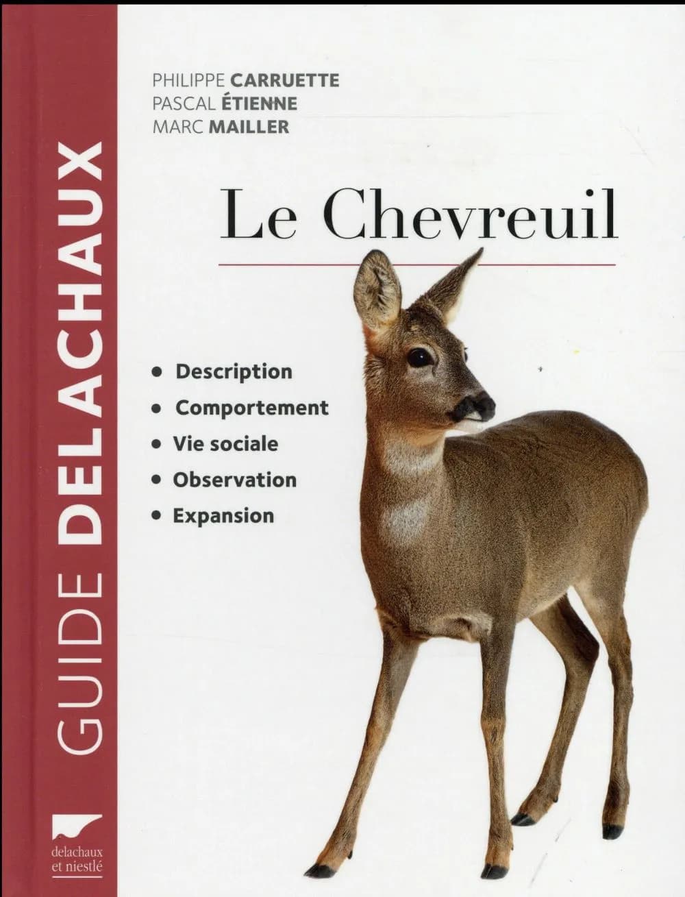 Le chevreuil : description, comportement, vie sociale, observation, expansion