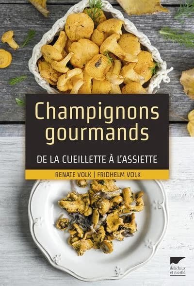 Champignons gourmands : de la cueillette à l'assiette