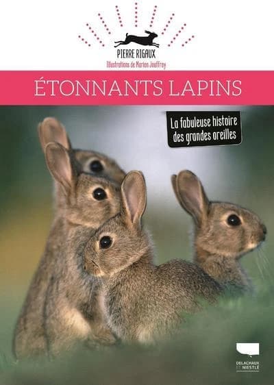 Étonnants lapins : la fabuleuse histoire des grandes oreilles