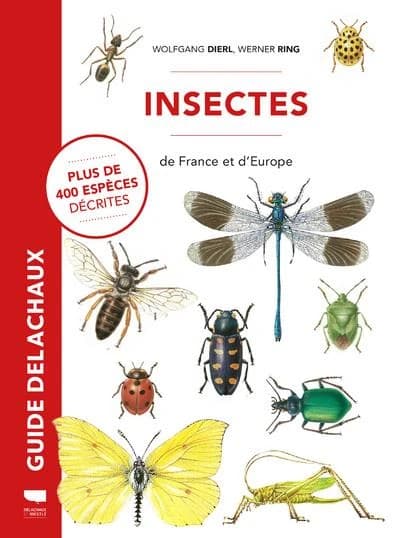 Insectes de France et d'Europe ([Nouvelle éd.]) Dr W. Dierl, W. Ring