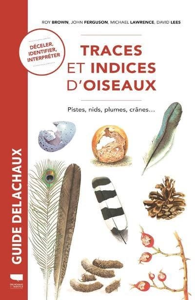 Traces et indices d'oiseaux : pistes, nids, plumes, crânes