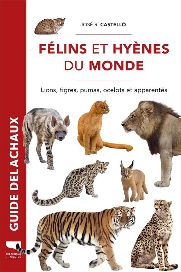 Félins et hyènes du monde : lions, tigres, pumas, ocelots et apparentés
