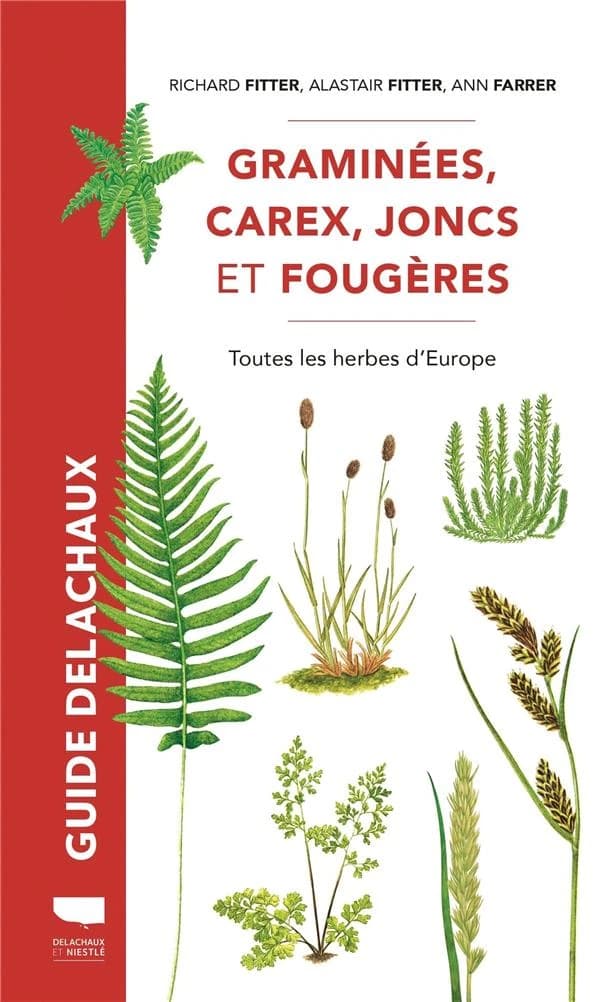 Graminées, carex, joncs et fougères : toutes les herbes d'Europe ([Nouvelle éd.]) Richard Fitter, Alastair Fitter ; [illustrations de] Ann Farrer