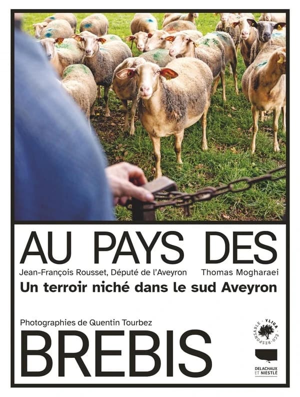 Au pays des brebis : un terroir niché dans le sud Aveyron