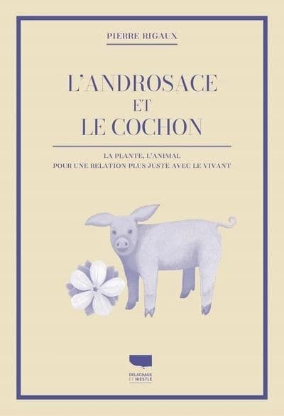 L'androsace et le cochon : la plante, l'animal, pour une relation plus juste avec le vivant