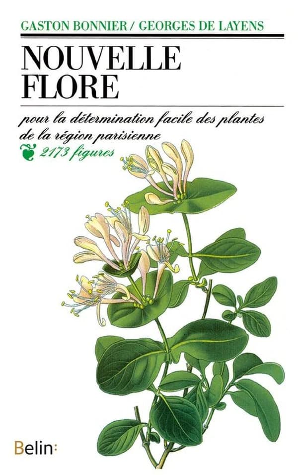 Nouvelle flore : pour la détermination facile des plantes... (Nouv. éd.) Gaston Bonnier,... Georges de Layens,... ; 2173 figures dessinées d'après nature par Mme Bergeron-Hérincq