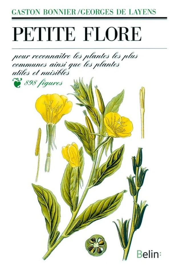 Petite flore : pour reconnaître les plantes les plus communes ainsi que les plantes utiles et nuisibles : manuel pratique de botanique pour les élèves des écoles et des colèges