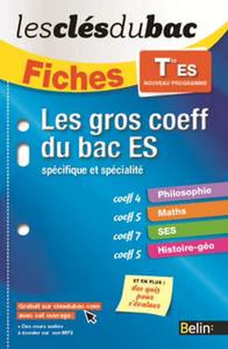 LES CLES DU BAC FICHES TLE ES