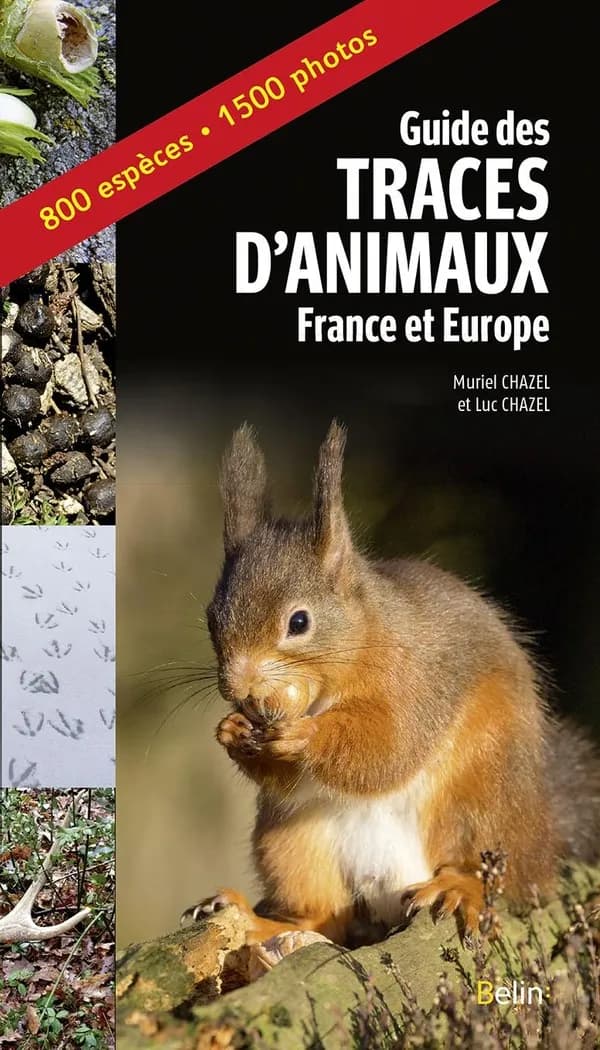 Guide des traces d'animaux : France et Europe