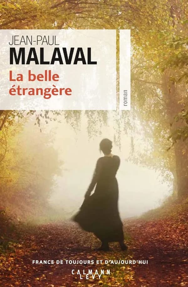 La belle étrangère : roman
