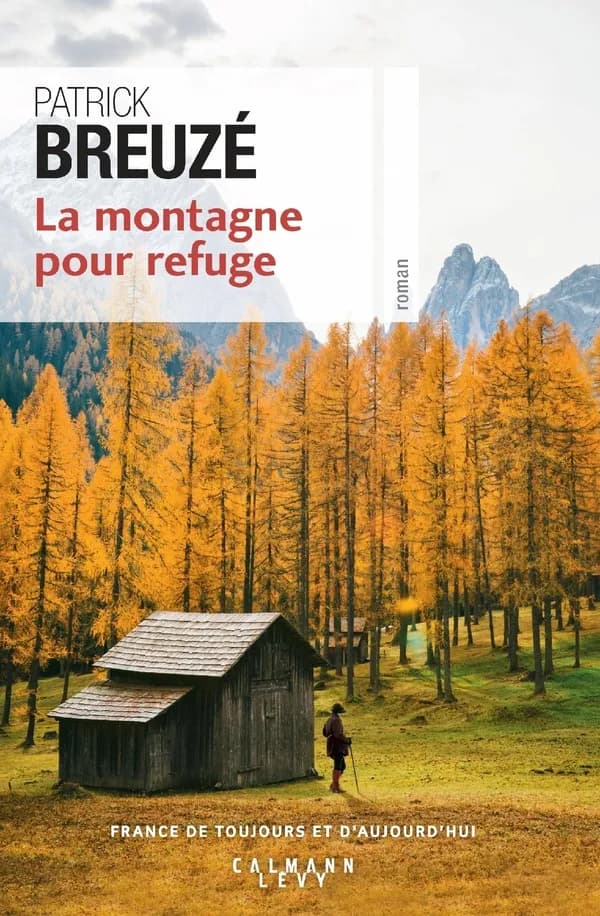 La montagne pour refuge : roman