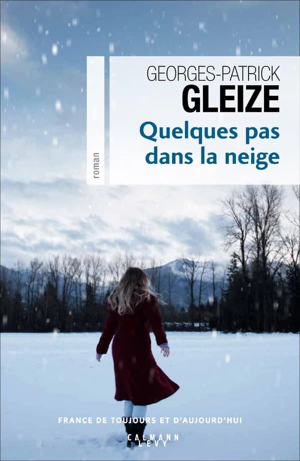 Quelques pas dans la neige : roman