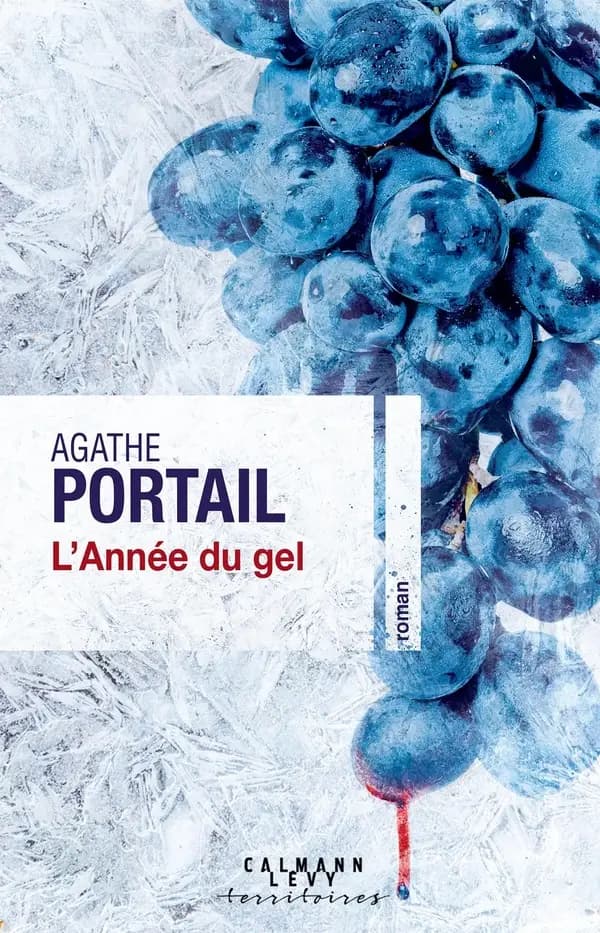 L'année du gel : roman