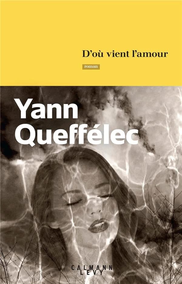 D'où vient l'amour : roman