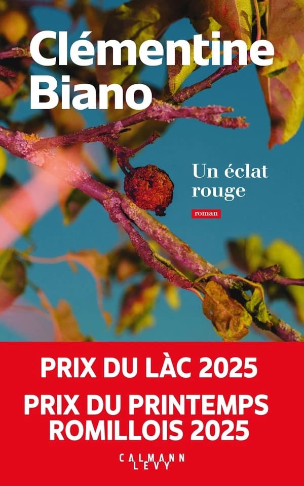 Un éclat rouge : roman