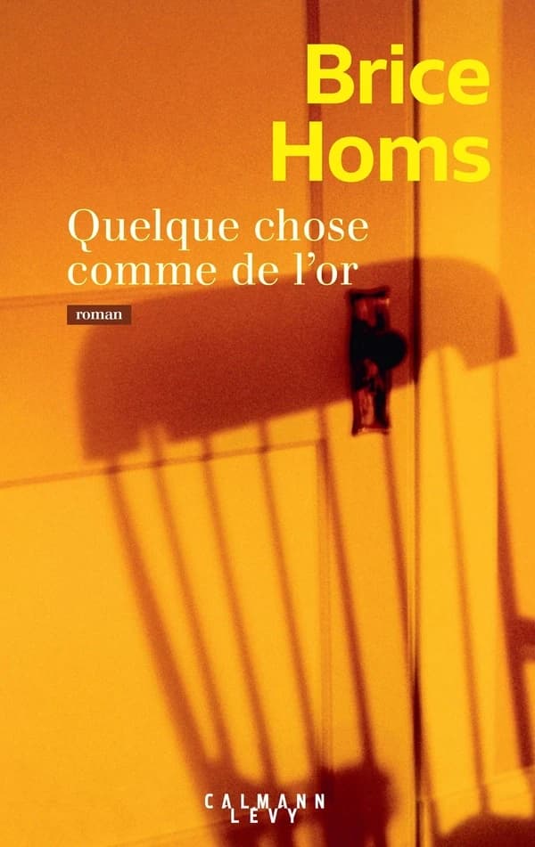 Quelque chose comme de l'or : roman
