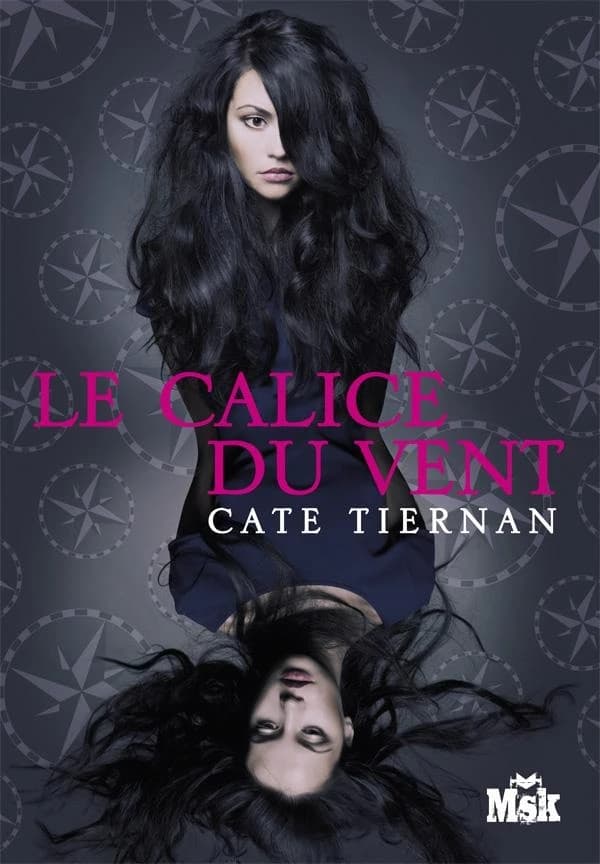 Le calice du vent : roman