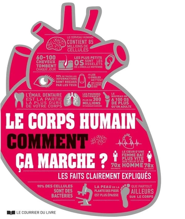 Le corps humain : comment ça marche ?