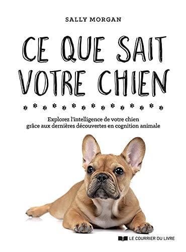 Ce que sait votre chien : explorez l'intelligence de votre chien grâce aux dernières découvertes en cognition animale