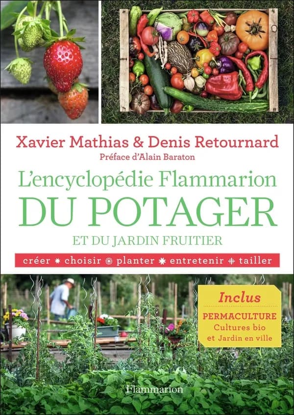 Conserves de fruits : congélation, stérilisation et confitures