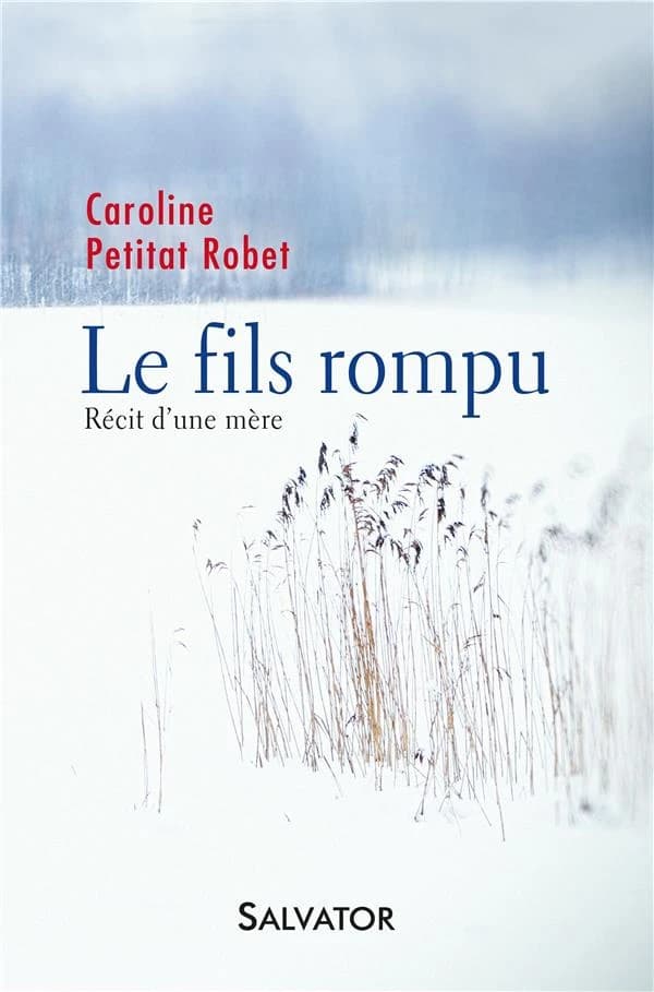 Le fils rompu : récit d'une mère