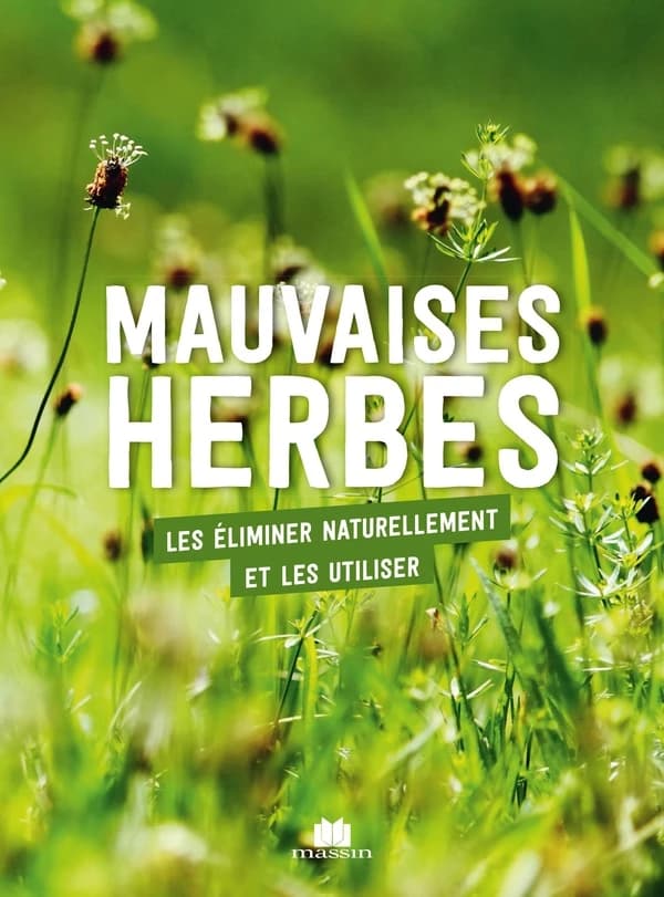 Vivre avec les mauvaises herbes : comment bien les utiliser ou s'en débarrasser naturellement