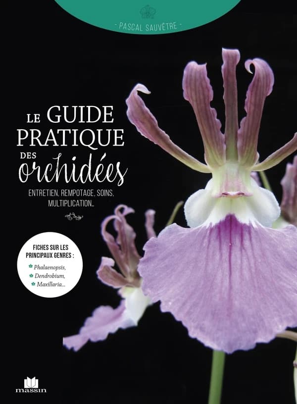 Le guide pratique des orchidées : entretien, rempotage, soins, multiplication