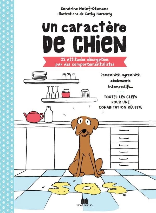 Un caractère de chien : 22 attitudes décryptées par une comportementaliste