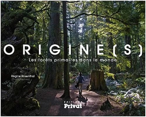 Origines : les forêts primaires dans le monde