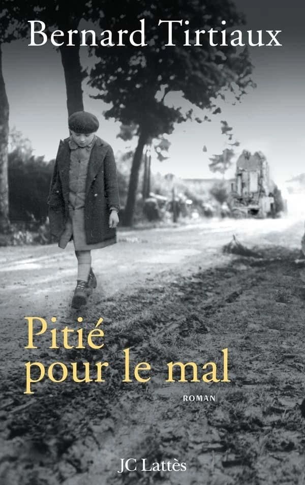 Pitié pour le mal : roman