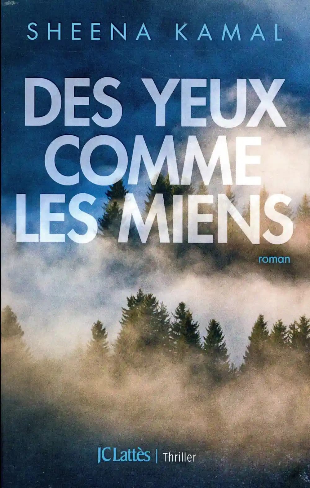 Des yeux comme les miens : roman