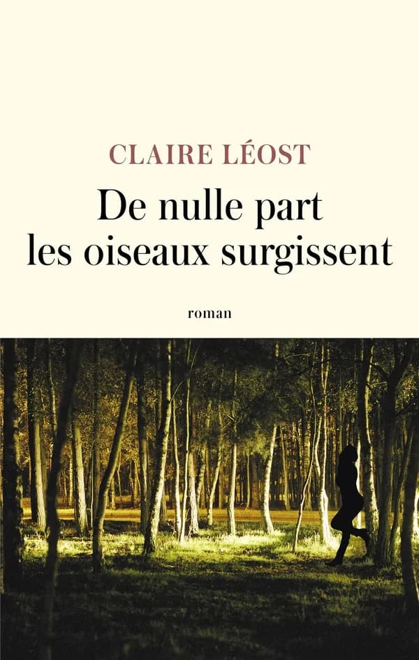 De nulle part les oiseaux surgissent : roman