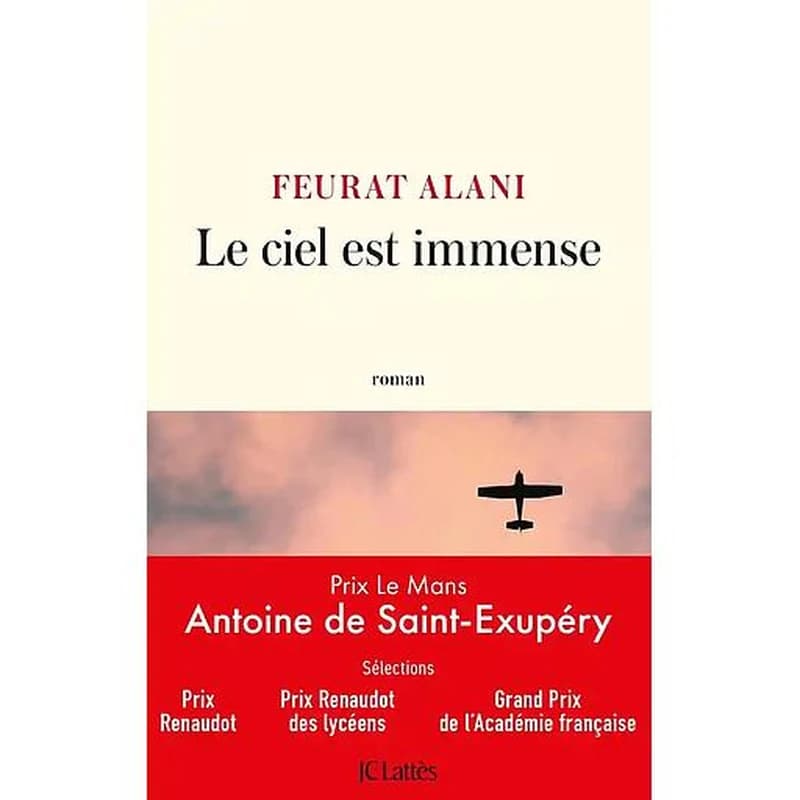 Le ciel est immense : roman